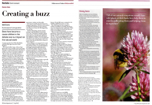 Holyrood Article - Plan Bee Ltd