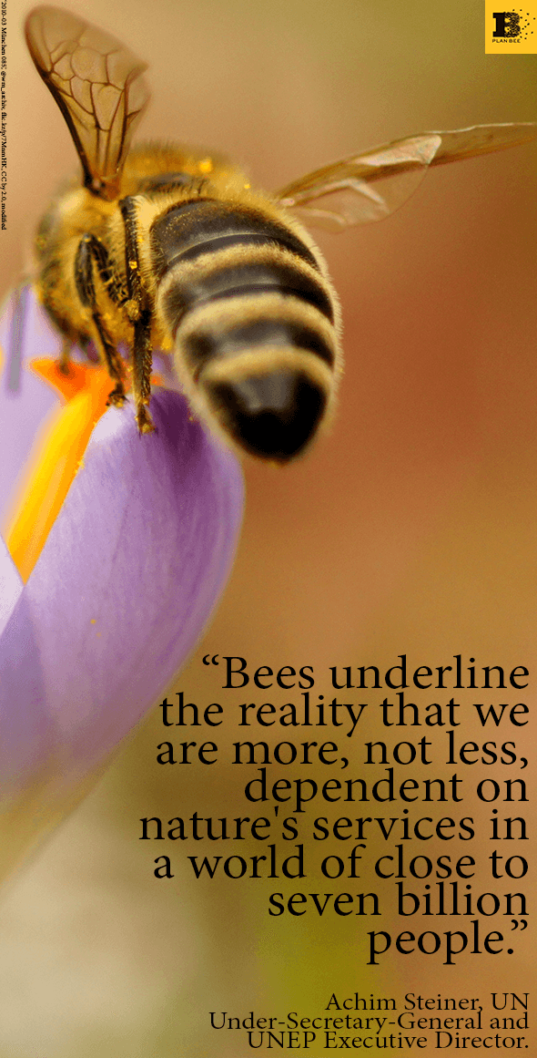 Picture and Quote of the Week 19-05-14 - Plan Bee Ltd