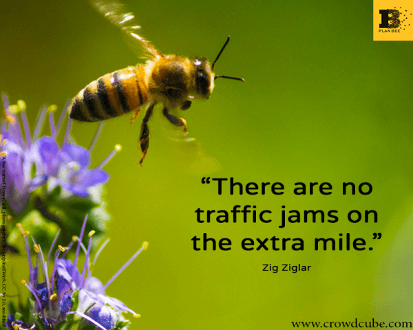 Invest in Plan Bee - Traffic Jams - Crowdcube