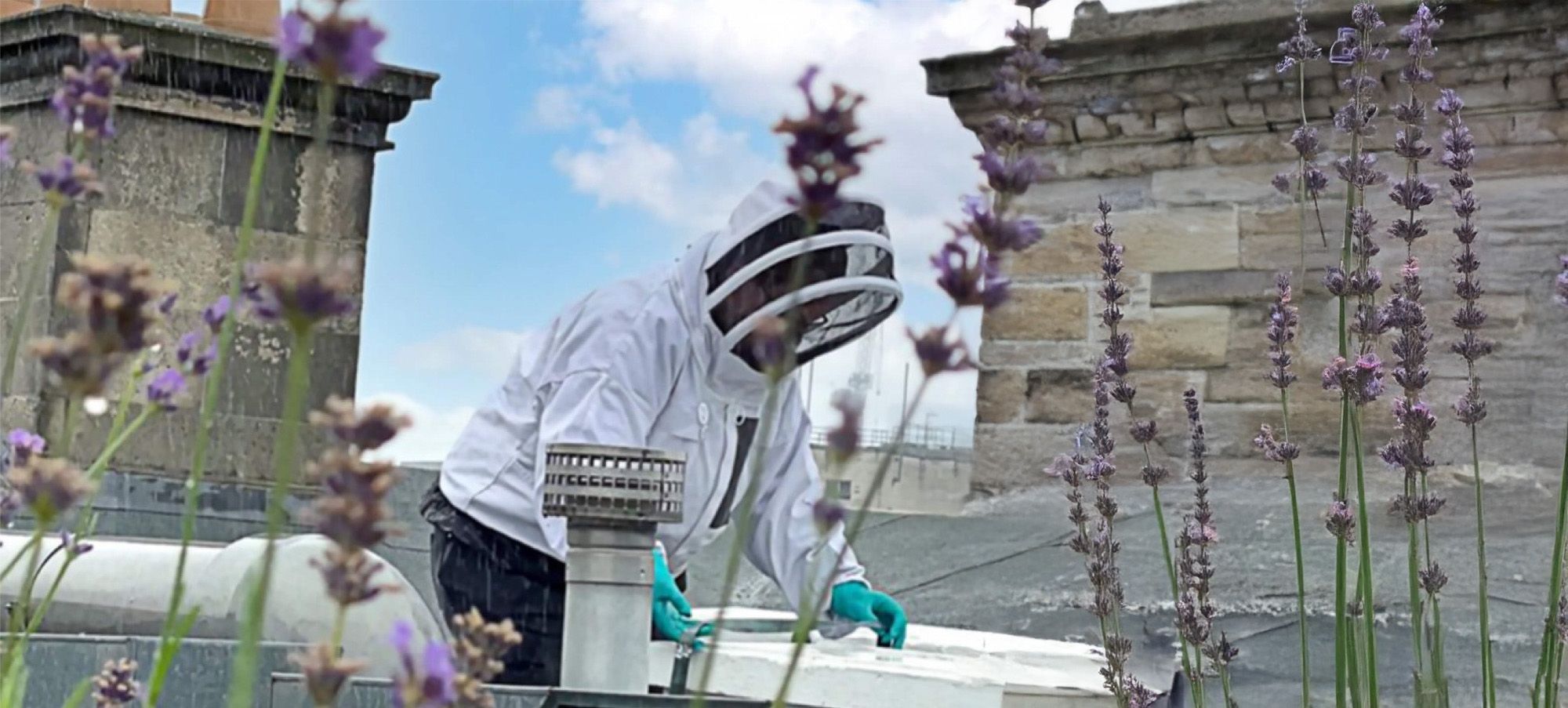 House of Garrard Partnership Case Study